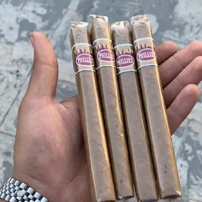 سیگار برگ